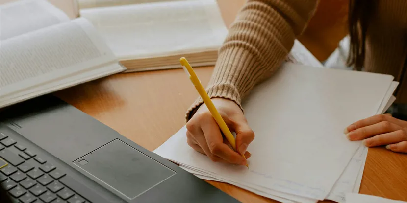 Hvilken studieordning findes der for pædagoguddannelsen?
